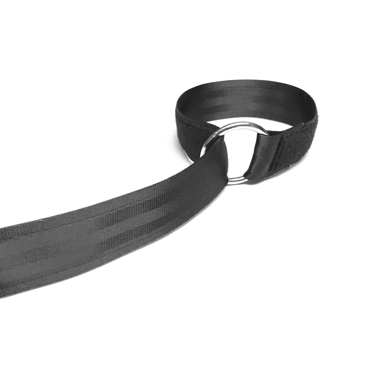 Instant Leash Collar - 2" Slip Lead
