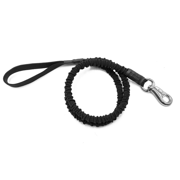 dog leash with bungee